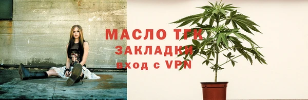 прущие грибы Краснотурьинск