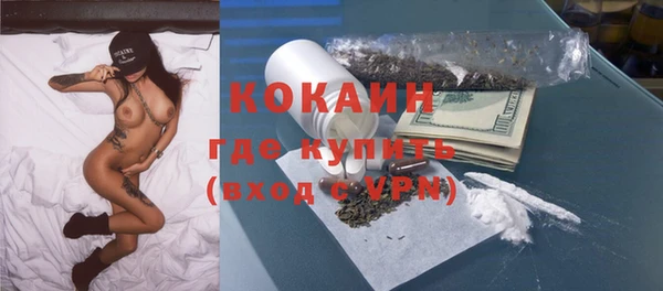прущие грибы Краснотурьинск