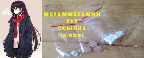 прущие грибы Краснотурьинск