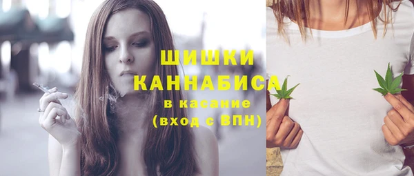 прущие грибы Краснотурьинск
