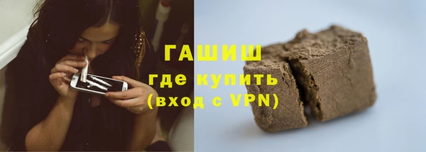 прущие грибы Краснотурьинск