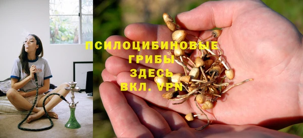 ECSTASY Красноперекопск
