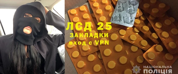 прущие грибы Краснотурьинск