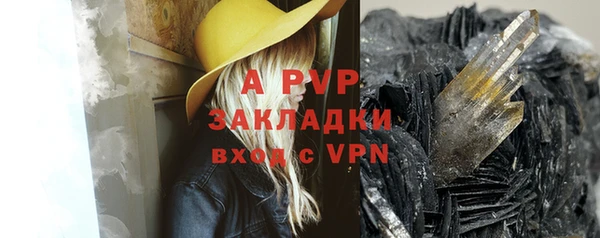 прущие грибы Краснотурьинск