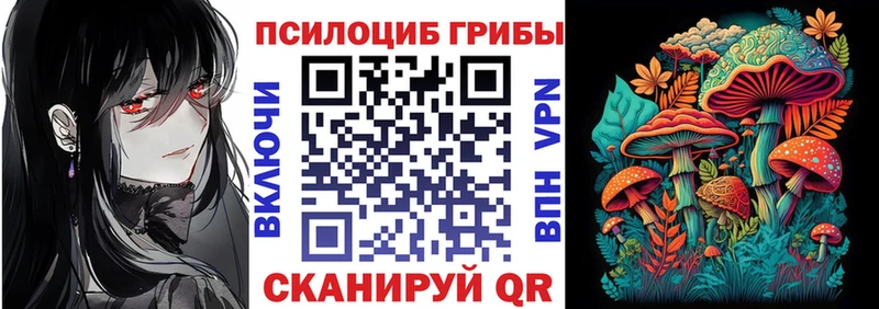 Купить Гусев Галлюциногенные грибы Psilocybe